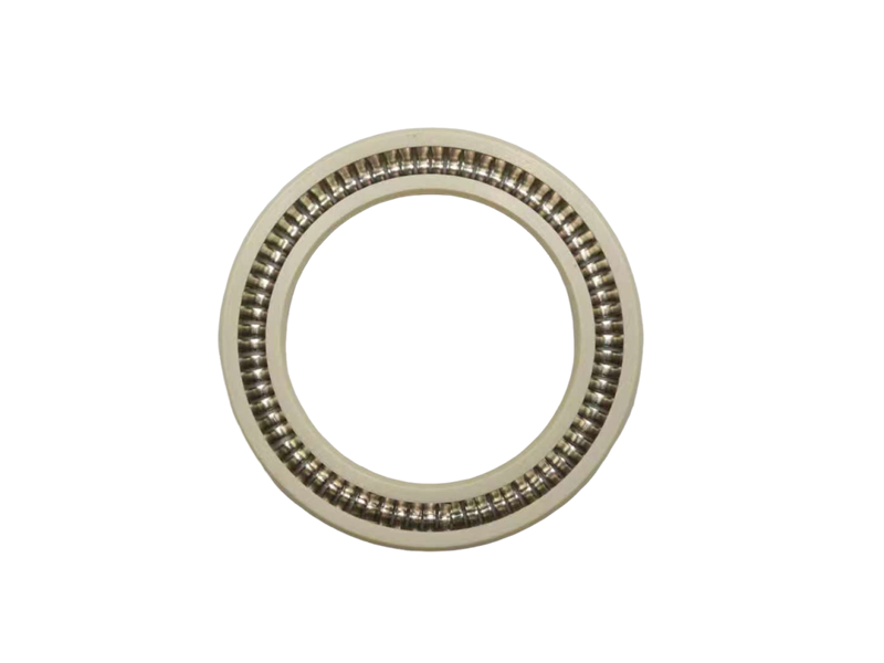 Spring Energized Seal