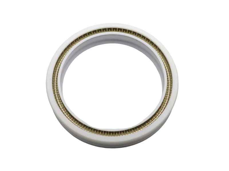 Spring Energized Seal