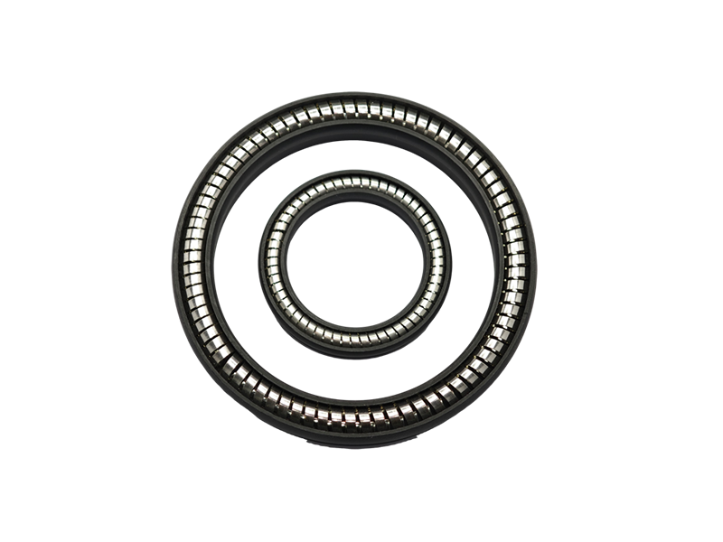Spring Energized Seal