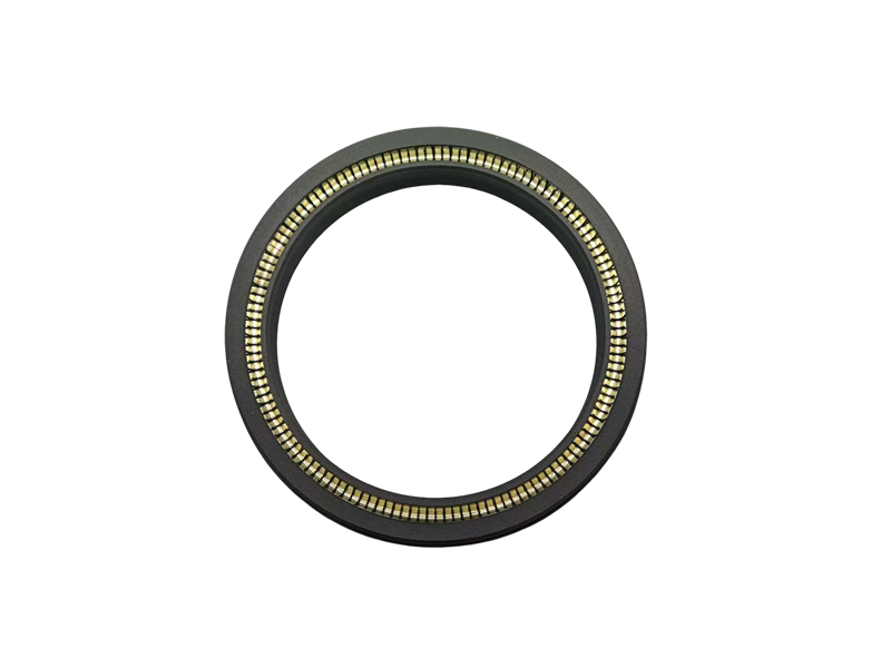 Spring Energized Seal
