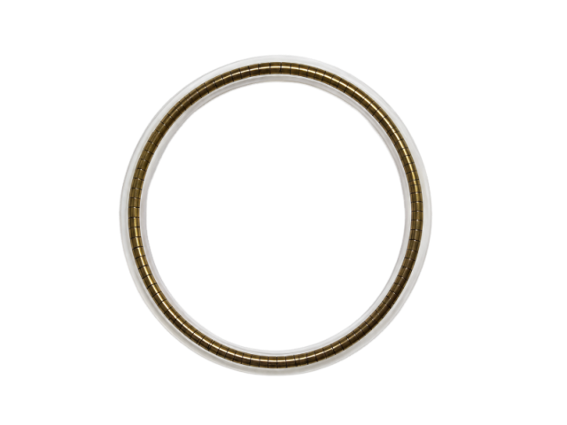 Spring Energized Seal (Spring Seal)