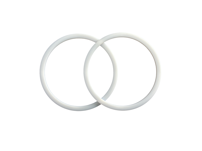 PTFE Gasket