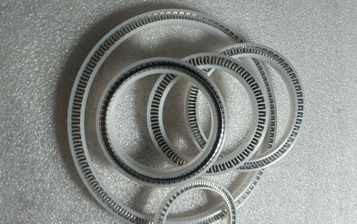 Spring Energized Seals: Innovative Application of High-performance Seals